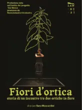 Fiori d’Ortica